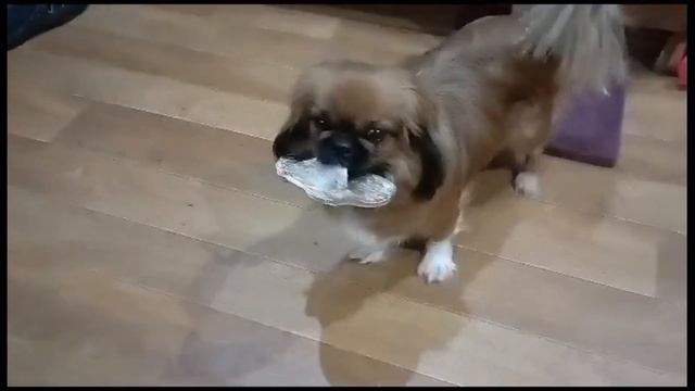 Делим два на два. смотреть онлайн