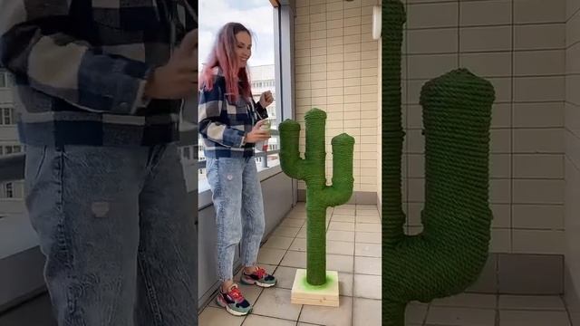 ? Кактус для кота. Часть 3 смотреть онлайн