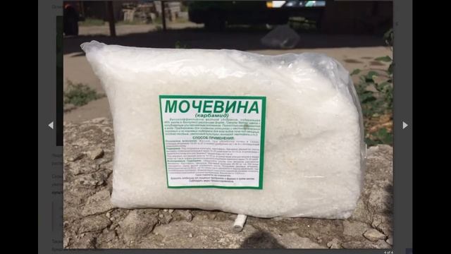 Что делать, если листья баклажанов сохнут? смотреть онлайн