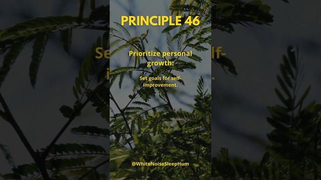 Discovering Tranquility: 100 Principles for Ultimate Relaxation - PRINCIPLE 46 смотреть онлайн
