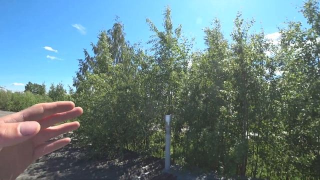 Турбодефлектор