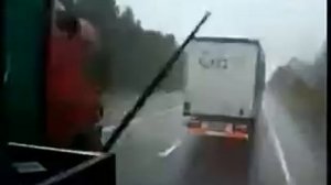 Трофим дальнобойная