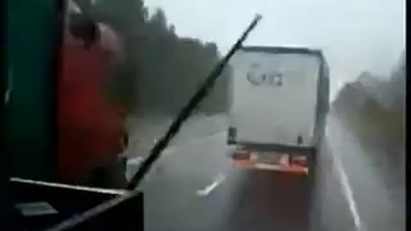 Трофим дальнобойная