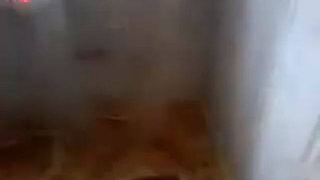 Как стать супер героем в домашних условиях смотреть онлайн
