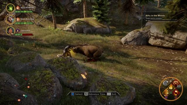 Cassandra AI vs Bear смотреть онлайн