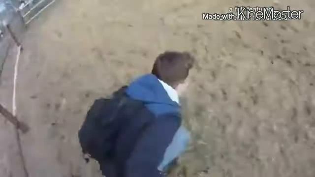 #дагдеже Старожилово смотреть онлайн