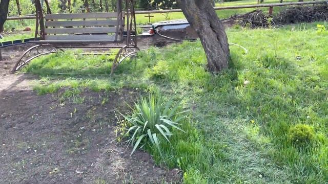 Новый пруд , новые проблемы с водой)). Нитрит взлетел до 0,4 , пруд уже с рыбой. Кто что знает ? смотреть онлайн