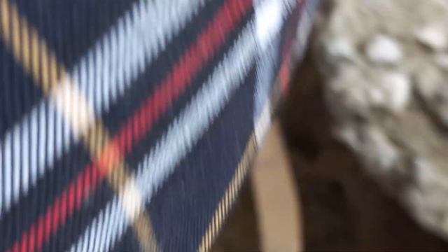 прогулка с собаками часть 2 смотреть онлайн