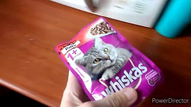 Усыпили кошку из-за болезни... смотреть онлайн