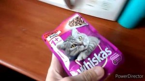Усыпили кошку из-за болезни...