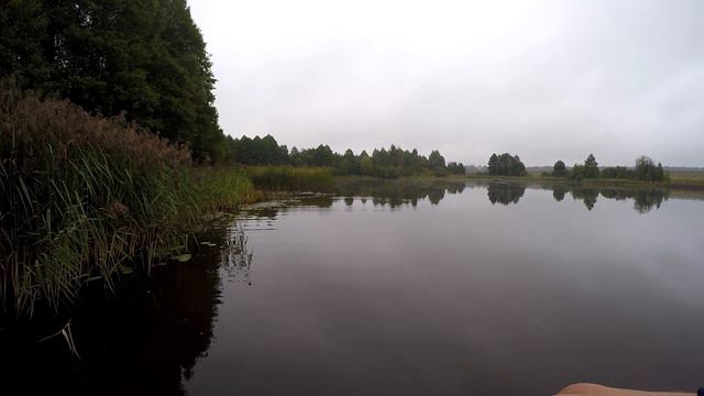 Яркие моменты рыбалки 2019. Поклевки щуки на спиннинг смотреть онлайн