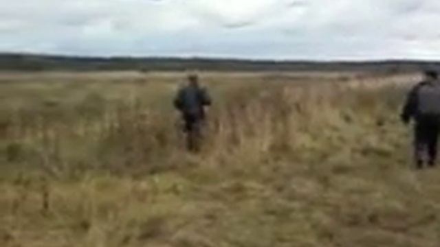 дорога на тёшу смотреть онлайн