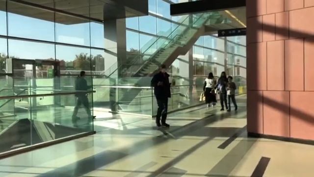 Начало протокола ЭКО|Больница Ассута|IVF в Израиле