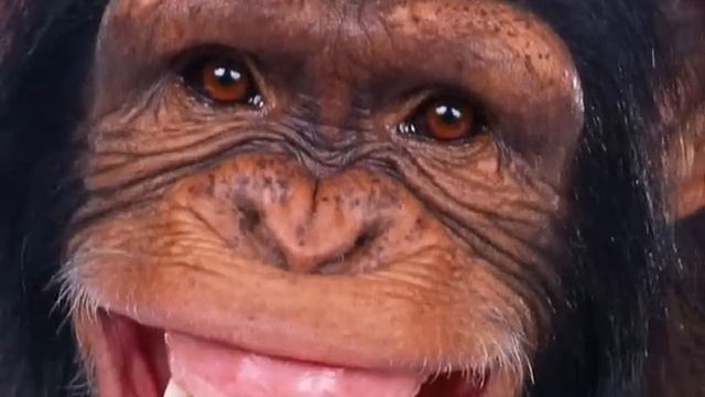 Поздравление / пожелания ДРУГУ от TeleSmile) смотреть онлайн