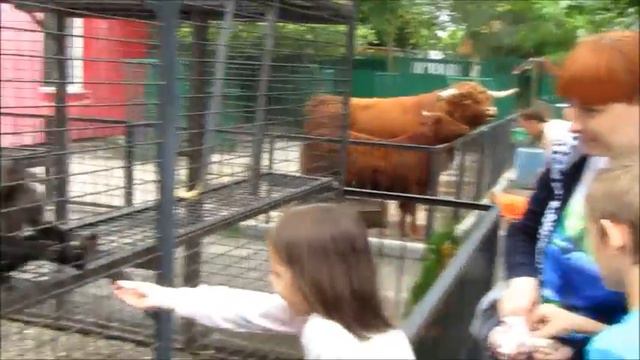 тайган смотреть онлайн