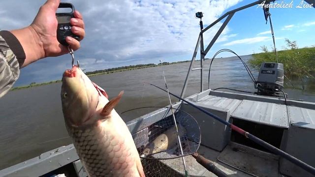 АДРЕНАЛИНОВАЯ РЫБАЛКА В ШТОРМ. Ловля на спиннинги (фидер) и удочку. Ловим Сазана, Карася, Окуня, Яз смотреть онлайн