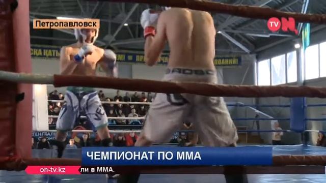 Чемпионат по ММА в Петропавловске смотреть онлайн