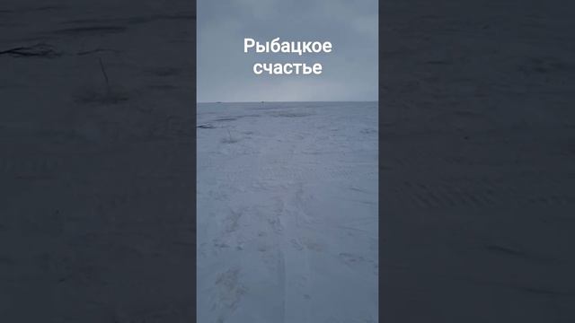 бурение лунок,рыбалка,на сига. (день был в пустую((( смотреть онлайн