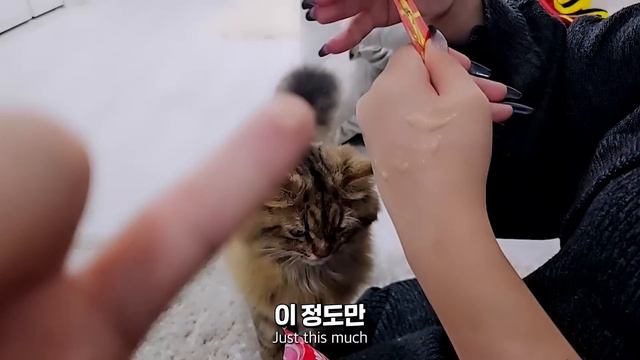 일본 미녀의 집에 초대받아서 갔는데... 🇯🇵 23부 [SUB] смотреть онлайн