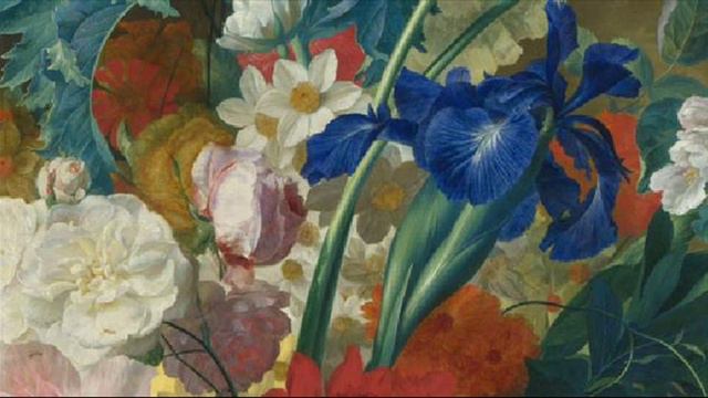 T. G. Albinoni: Adagio For Violin, Strings And Basso Continuo / Il Giardino Armonico