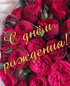 Желаем гармонии, счастья, здоровья,
Желаем уютного в доме тепла,
Желаем достатка во всем и раздолья, смотреть онлайн