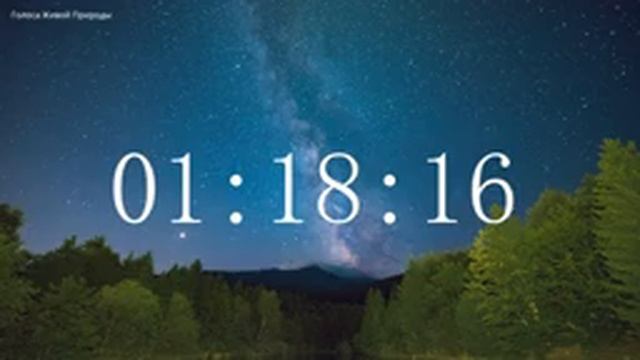 Обратный отсчет Таймер 1.5 часа. Звуки живой природы/ Countdown. Timer 1.5 Hours.#ГолосаЖивойПрирод