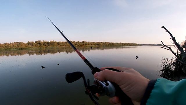 Ловля судака на силикон с берега. Приманка KEITECH!!! Рыбалка в сентябре Дон 2022г. смотреть онлайн