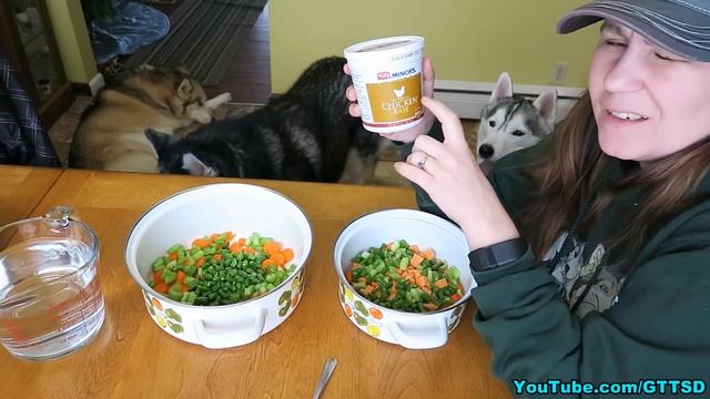CHICKEN SOUP FOR DOGS DIY How to make Chicken Soup for Dogs | Snow Dogs Snacks 43 смотреть онлайн