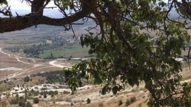 Стих: разные мелочи смотреть онлайн