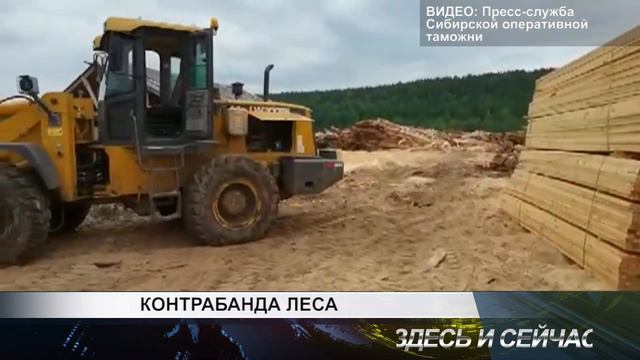 контрабанда леса смотреть онлайн