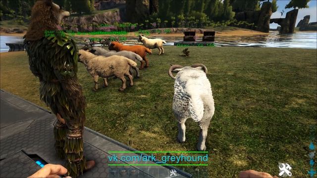 ? S+ Sheep Herder | Пастух S+ смотреть онлайн