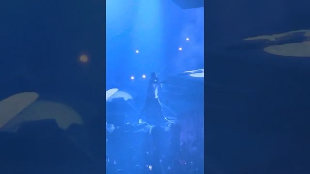 Travis Scott - Topia Twins Live at Oakland Arena (10/31/23) смотреть онлайн