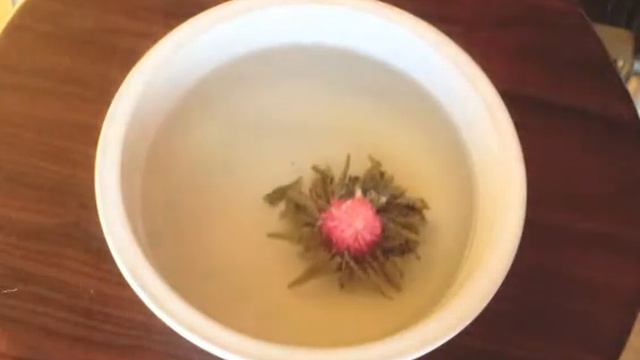 The Rushing World: Blooming Flower Made Of White Tea (flowering Tea)