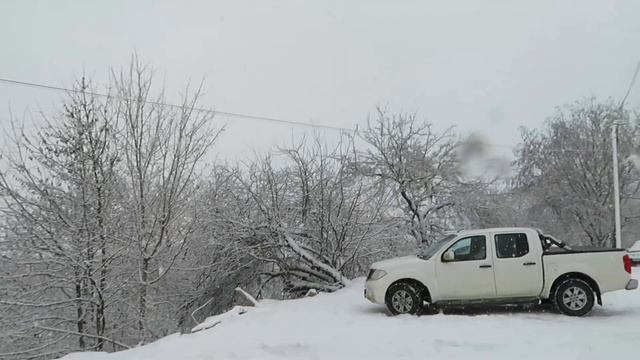 Магомаев Лечи велла тезет 07 01 2023 смотреть онлайн