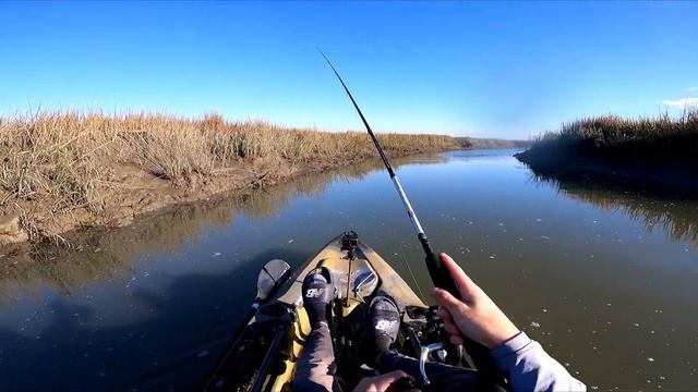 This BIG Fish Was Missing an EYE! смотреть онлайн