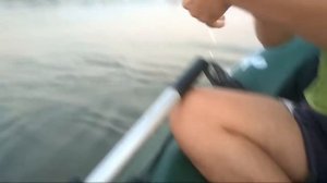 ЛОВЛЯ КАРПА НА КРУЖКИ, клюнул ГИГАНТ . кружки рулят.