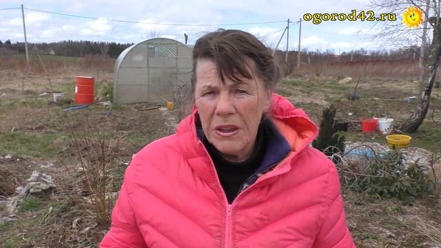 Такие нужные, своевременные "Садовые безделушки"! Лучшего подарка и не придумать. смотреть онлайн