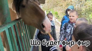 Зоопарк в селе Придорожное