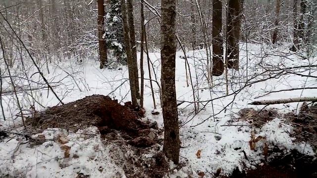 Minelab GO FIND 66 приборный коп. Нашёл богатое захоронение металла и меди! смотреть онлайн