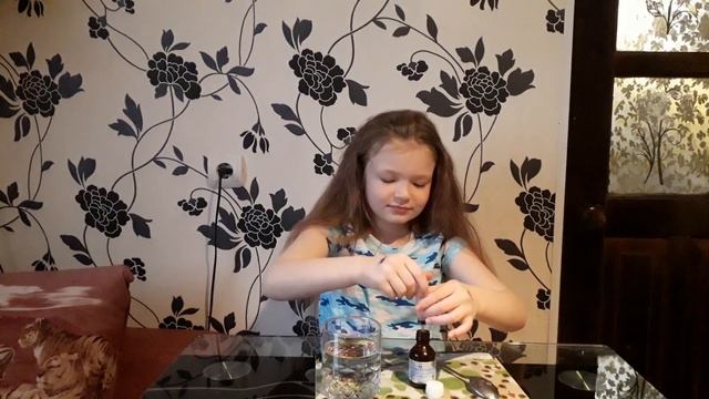 ?КАК РАЗБАВИТЬ ТЕТРАБОРАТ НАТРИЯ ДЛЯ СЛАЙМА смотреть онлайн