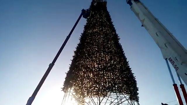 Демонтаж главной новогодней елки Барнаула смотреть онлайн