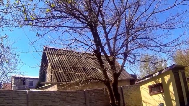 Моя дача: забор, сад, огород смотреть онлайн