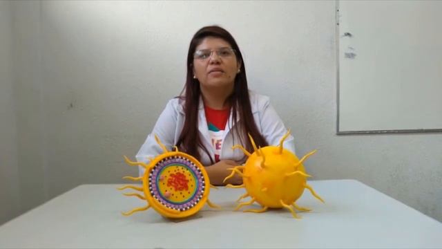 VIDEO NEISSERIA смотреть онлайн