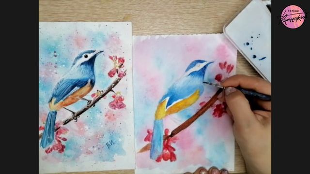 Птичка на ветке акварелью смотреть онлайн