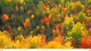 Окружающий мир «Природа России»