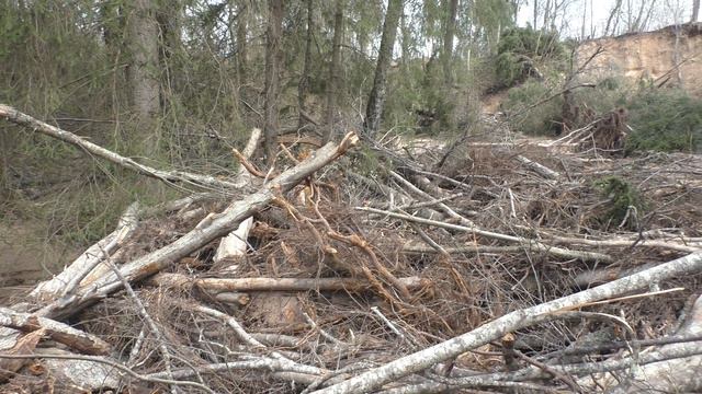 Оползень на лесном ручье. Река Ока Тверская апрель 2023 смотреть онлайн