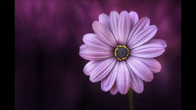 музыка для сна смотреть онлайн