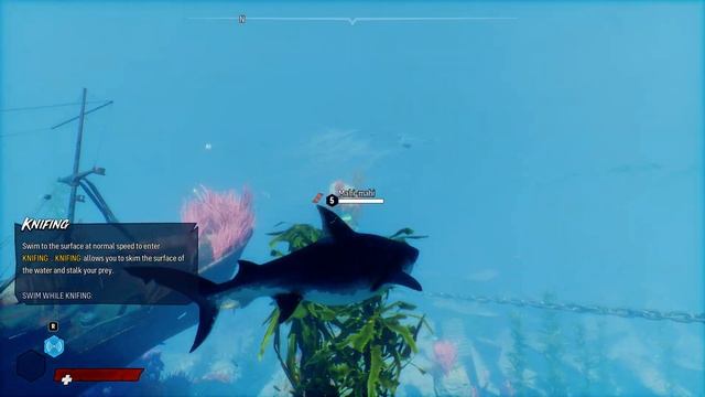 Intro Tutorial Maneater смотреть онлайн