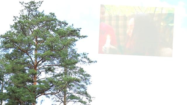 Лагерь первокурсников | Заокский 2014 смотреть онлайн