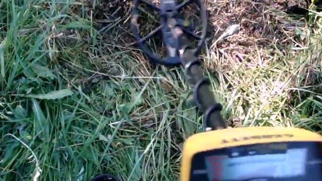 Garrett Ace 250 + Mars Tiger Test In Soil